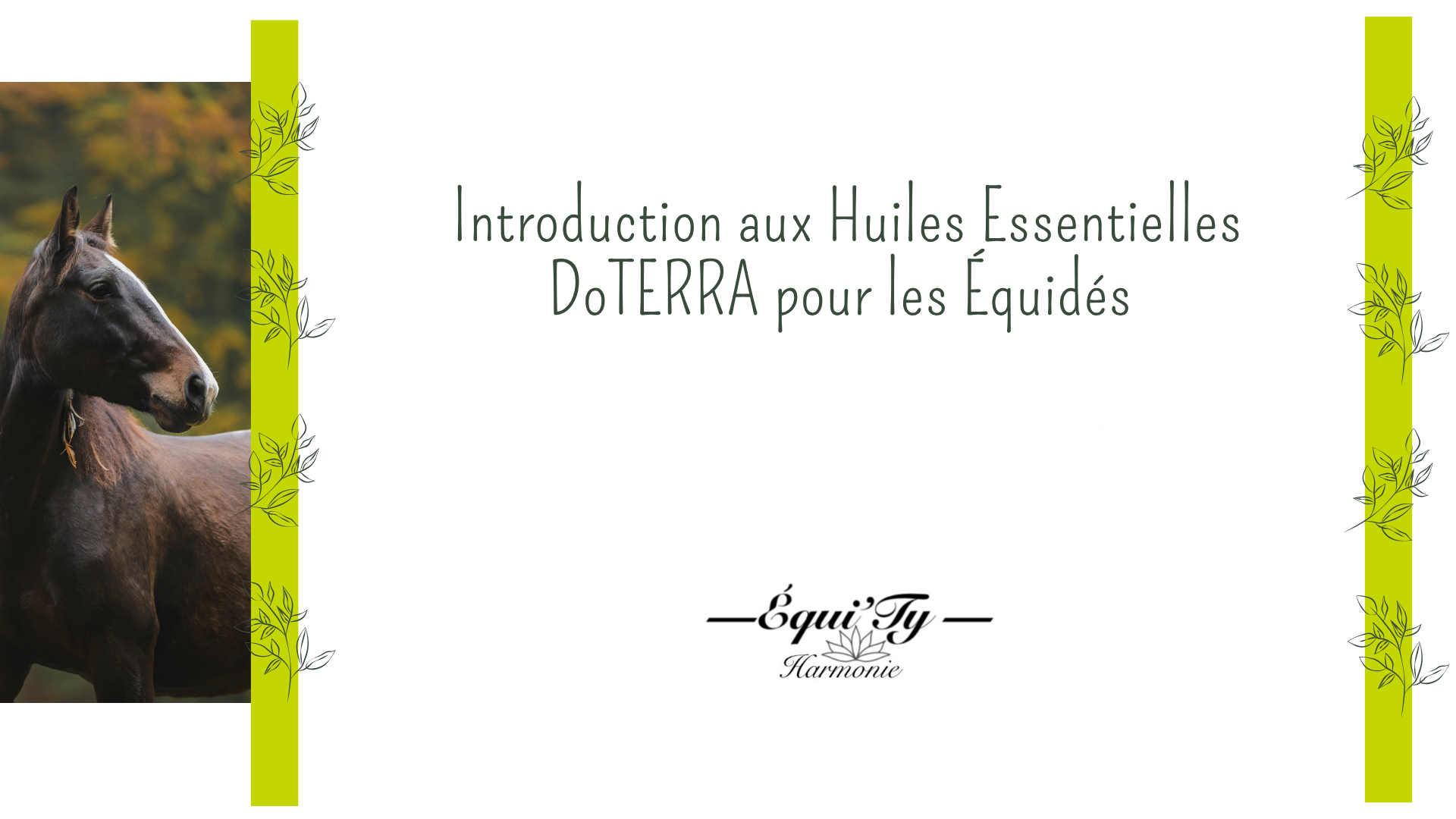 Image de l'événement