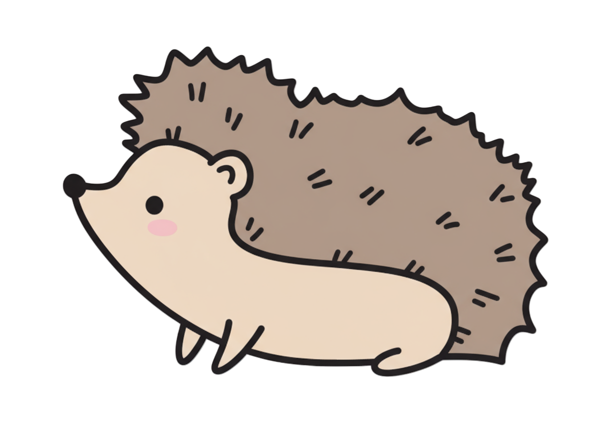 Spare Room Sessions January 2025 - Image de l'événement