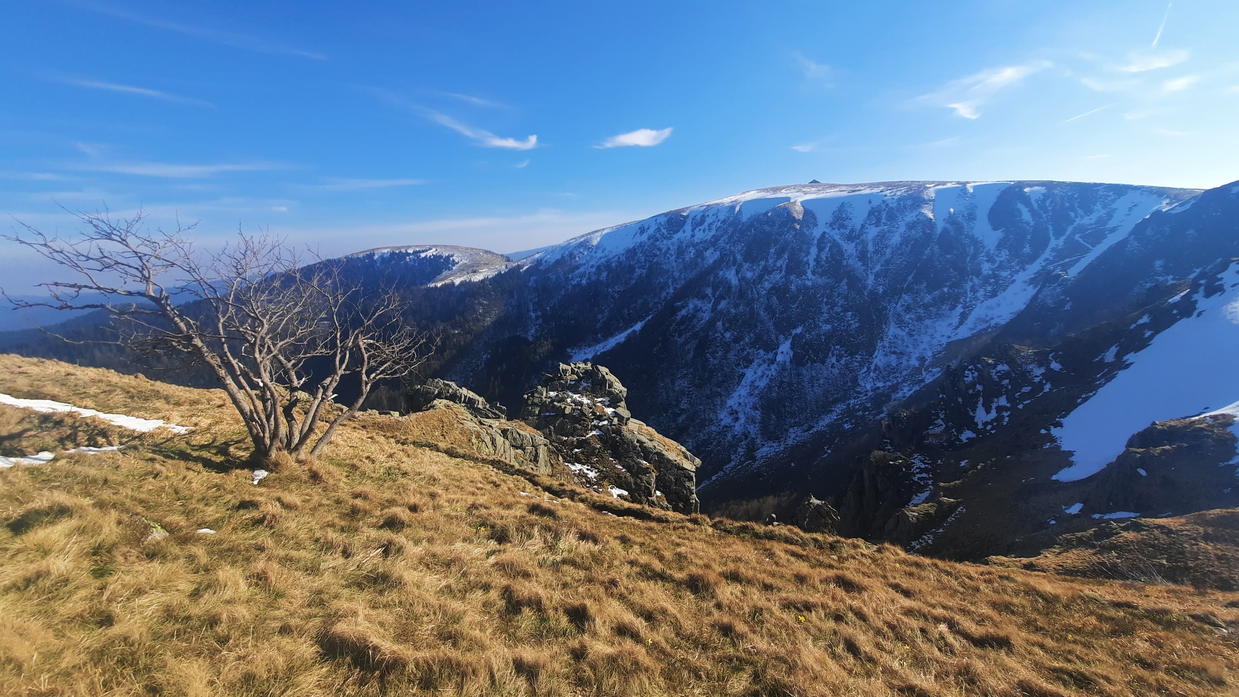 formation robustesse - Image de l'événement